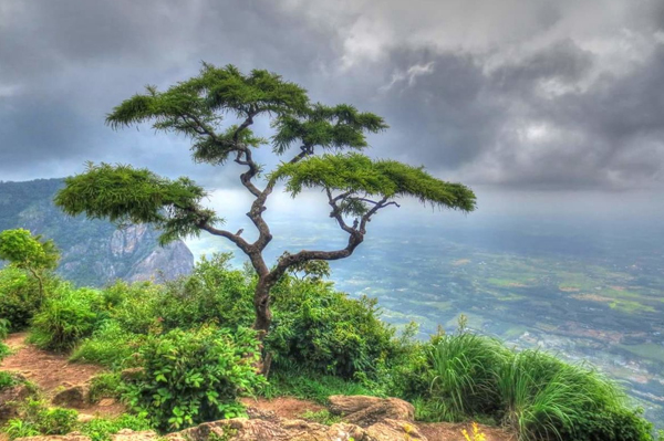 Special Houseboat Cruises